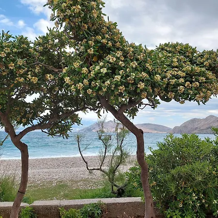 In 300 Meter Vom 度假居